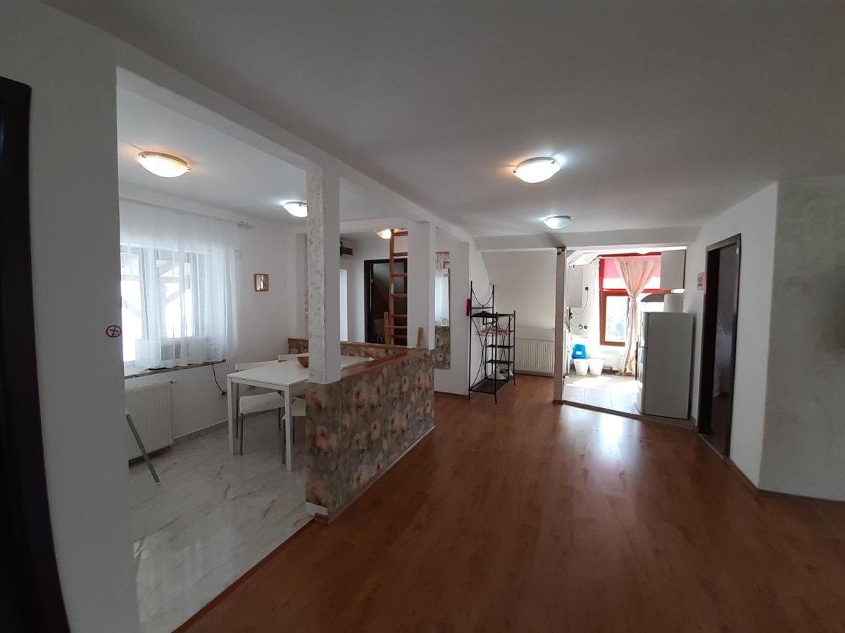 Casa Olguta Apartment Sinaia Ngoại thất bức ảnh