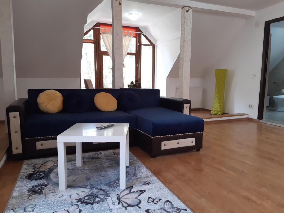 Casa Olguta Apartment Sinaia Ngoại thất bức ảnh