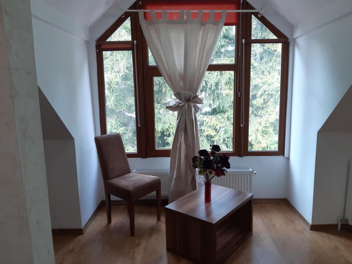 Casa Olguta Apartment Sinaia Ngoại thất bức ảnh