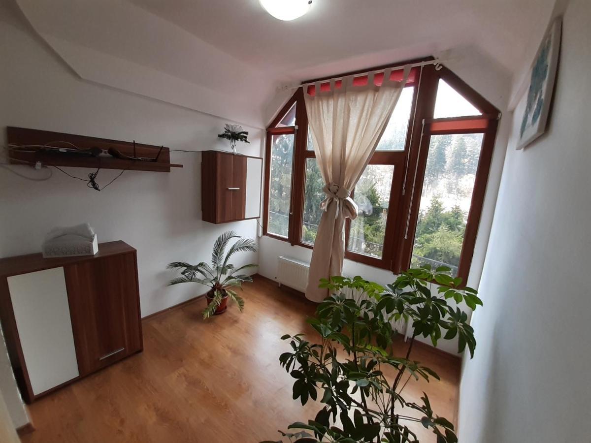 Casa Olguta Apartment Sinaia Ngoại thất bức ảnh