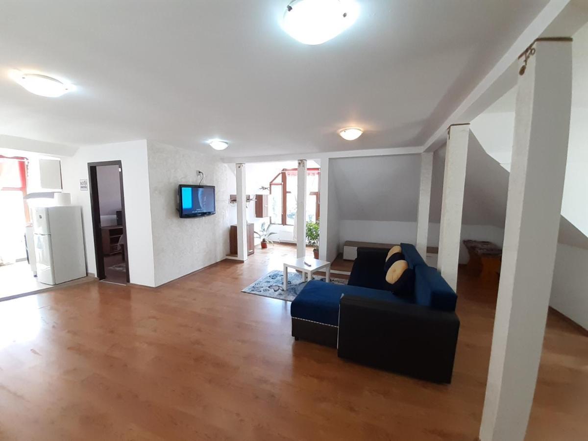 Casa Olguta Apartment Sinaia Ngoại thất bức ảnh