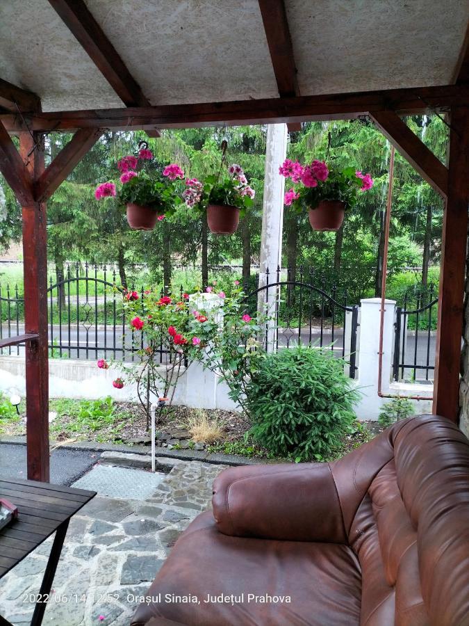Casa Olguta Apartment Sinaia Ngoại thất bức ảnh