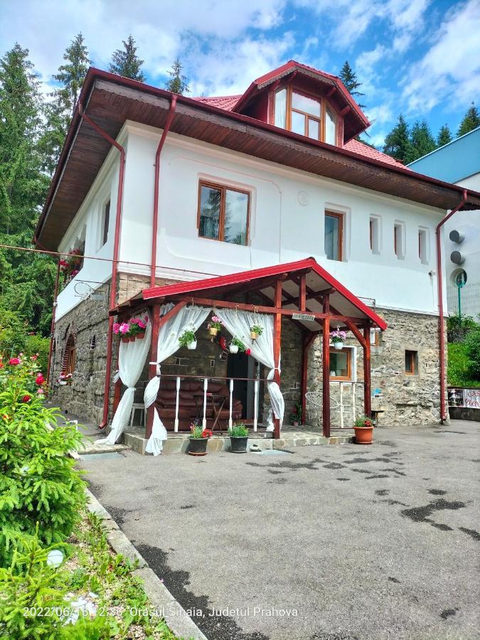 Casa Olguta Apartment Sinaia Ngoại thất bức ảnh