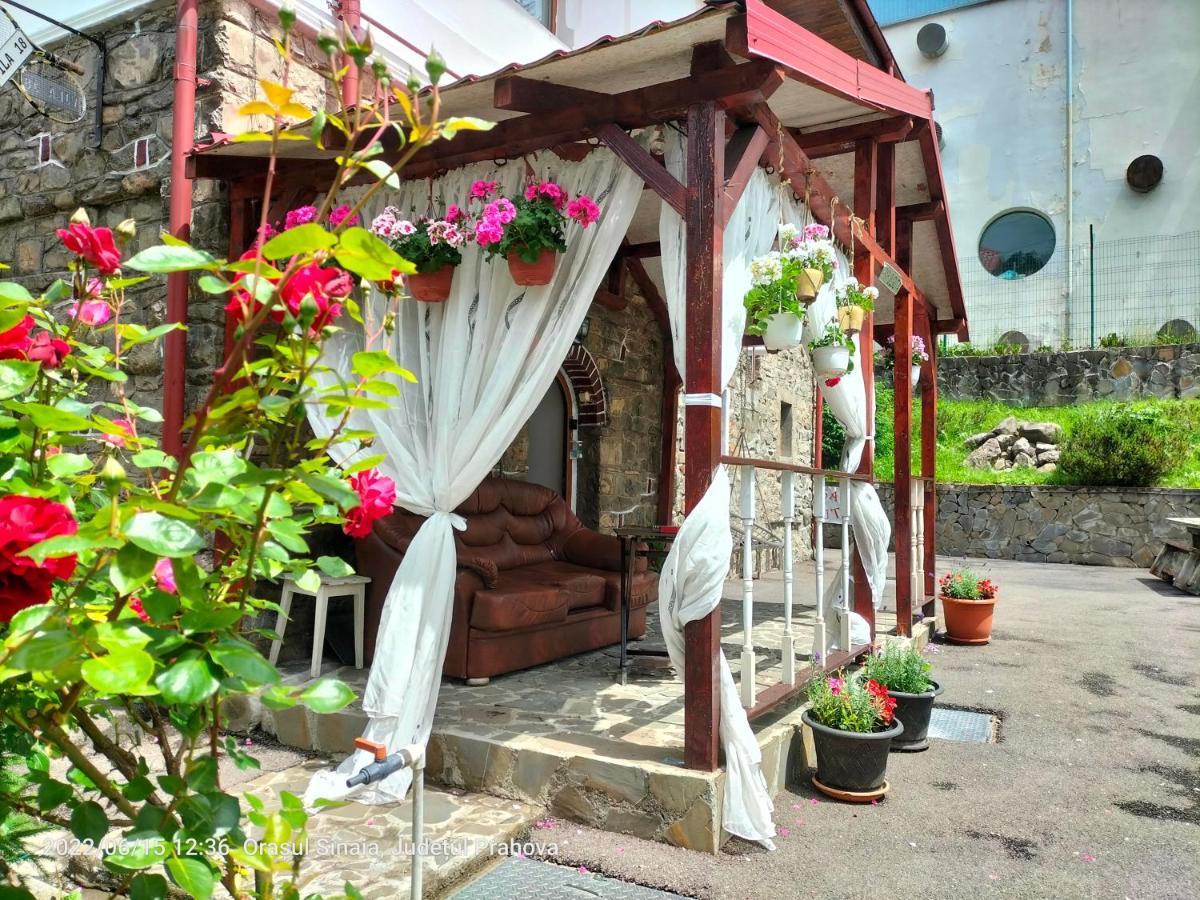 Casa Olguta Apartment Sinaia Ngoại thất bức ảnh