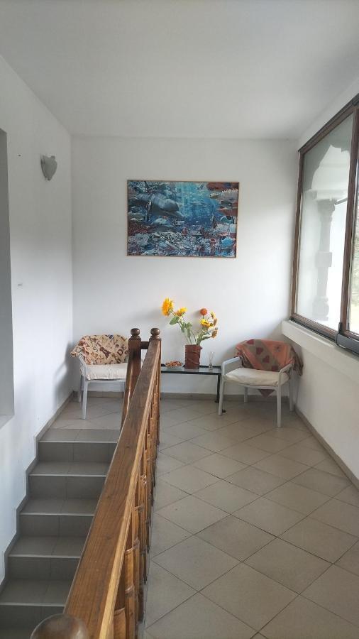 Casa Olguta Apartment Sinaia Ngoại thất bức ảnh