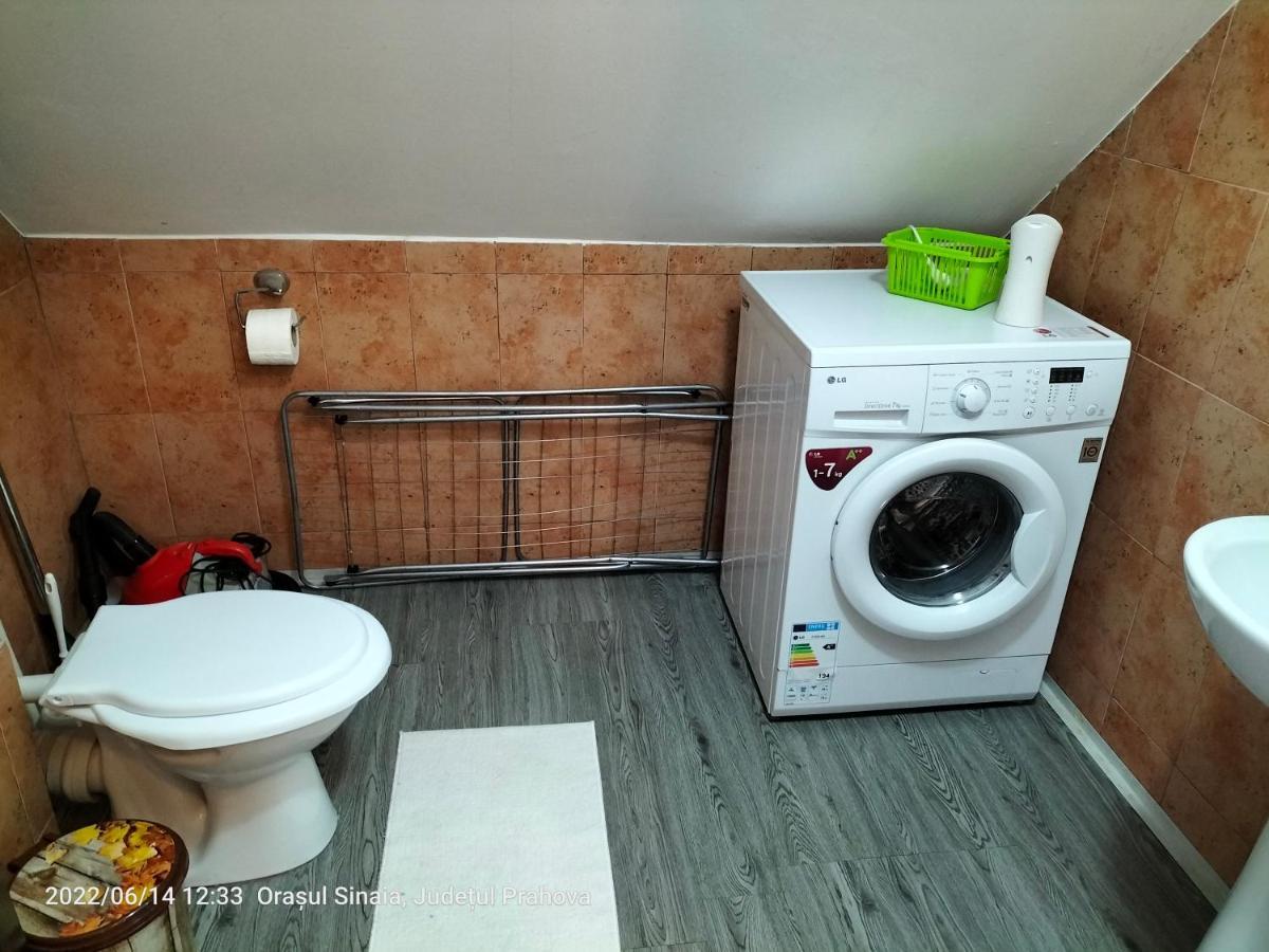 Casa Olguta Apartment Sinaia Ngoại thất bức ảnh