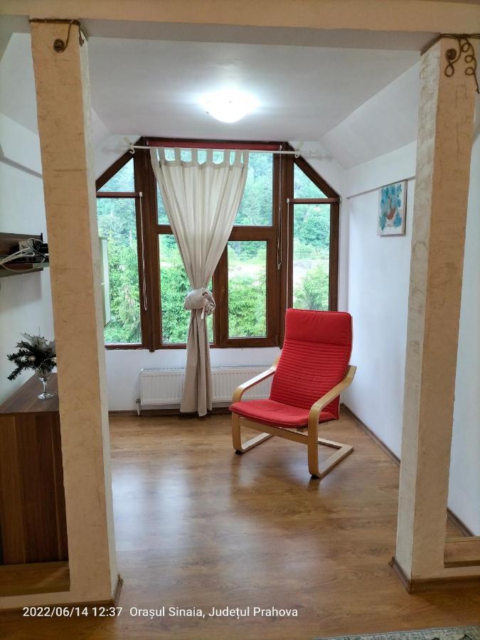 Casa Olguta Apartment Sinaia Ngoại thất bức ảnh