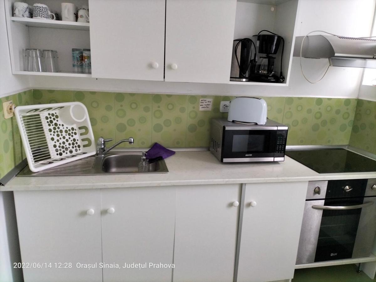 Casa Olguta Apartment Sinaia Ngoại thất bức ảnh