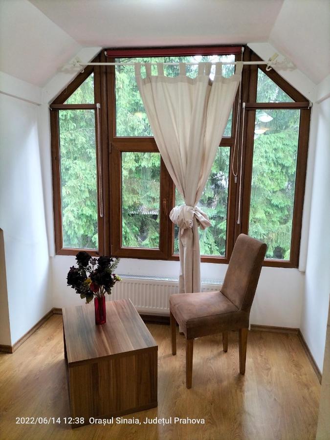 Casa Olguta Apartment Sinaia Ngoại thất bức ảnh