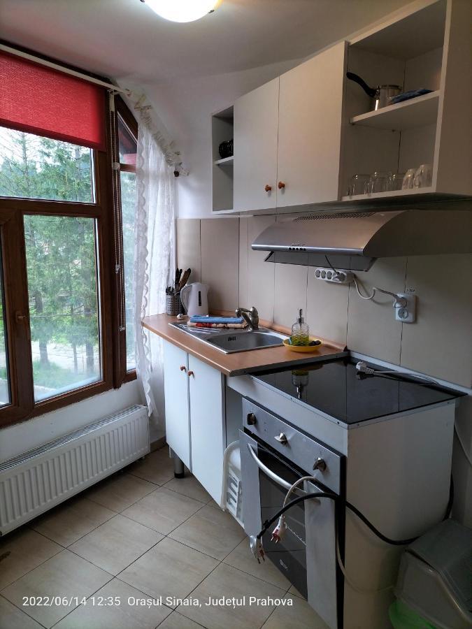 Casa Olguta Apartment Sinaia Ngoại thất bức ảnh