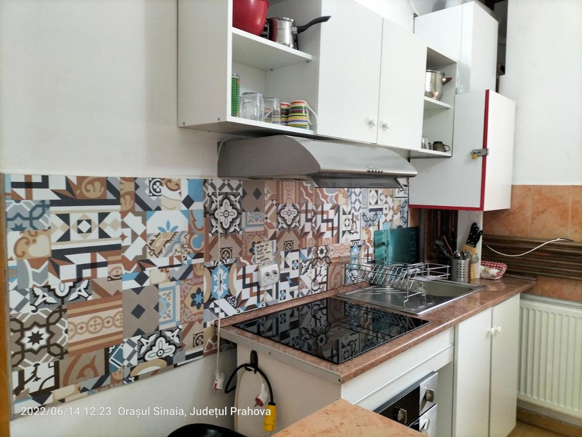 Casa Olguta Apartment Sinaia Ngoại thất bức ảnh