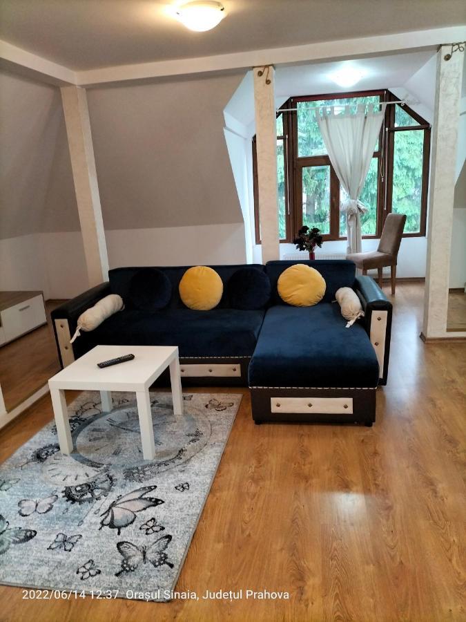 Casa Olguta Apartment Sinaia Ngoại thất bức ảnh