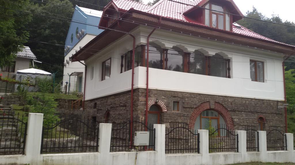 Casa Olguta Apartment Sinaia Ngoại thất bức ảnh