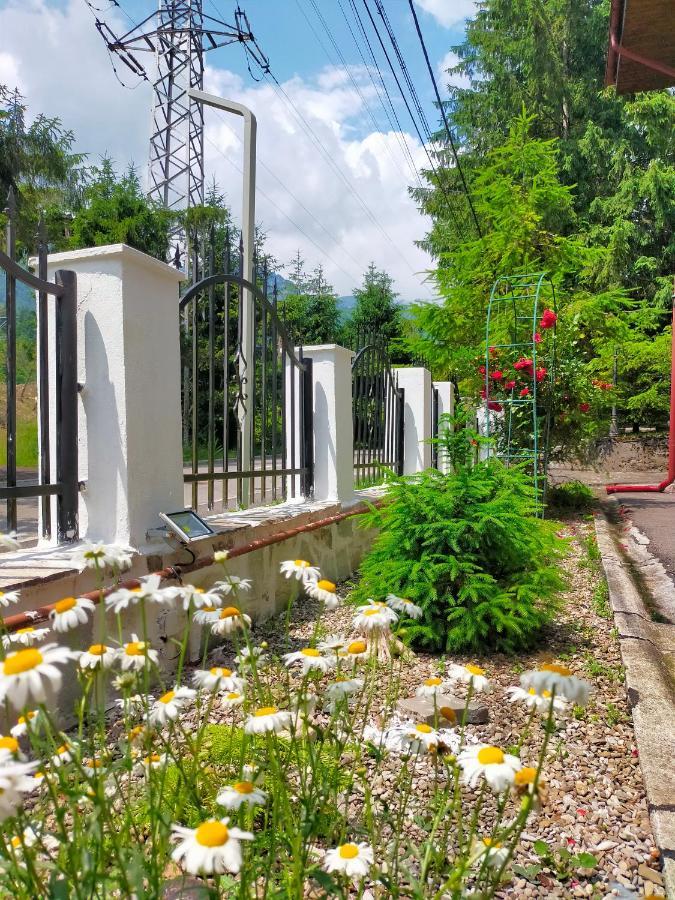 Casa Olguta Apartment Sinaia Ngoại thất bức ảnh