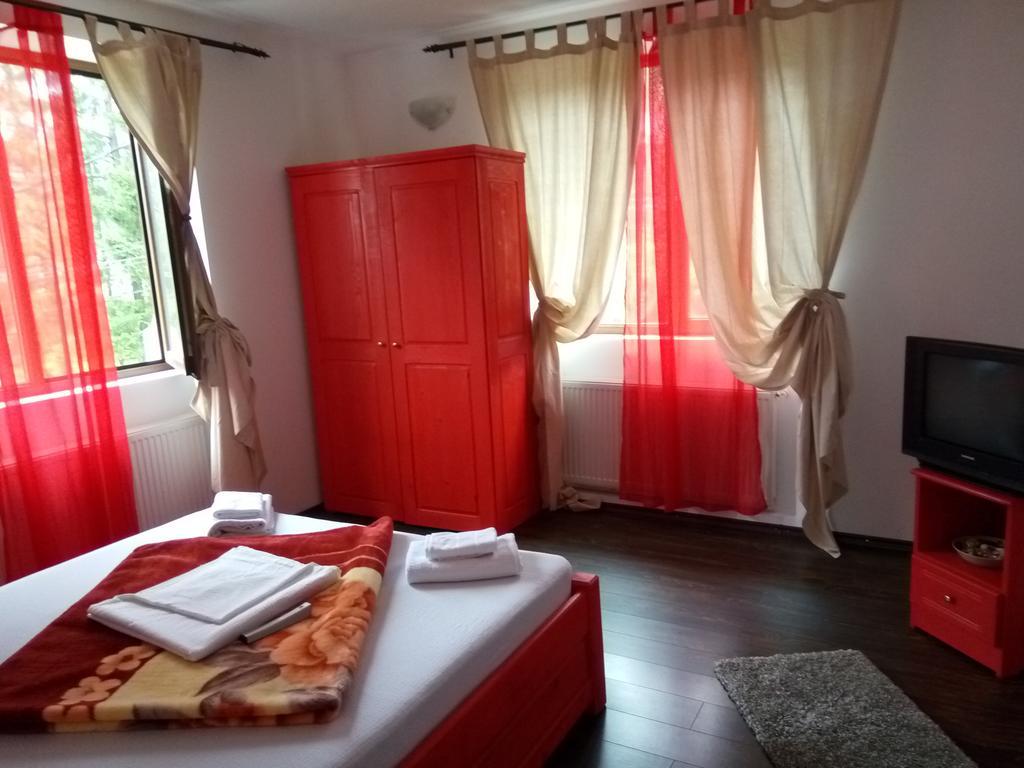 Casa Olguta Apartment Sinaia Ngoại thất bức ảnh