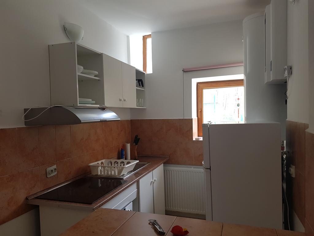 Casa Olguta Apartment Sinaia Ngoại thất bức ảnh