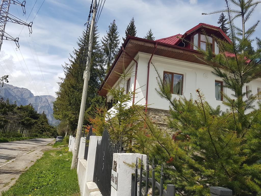 Casa Olguta Apartment Sinaia Ngoại thất bức ảnh