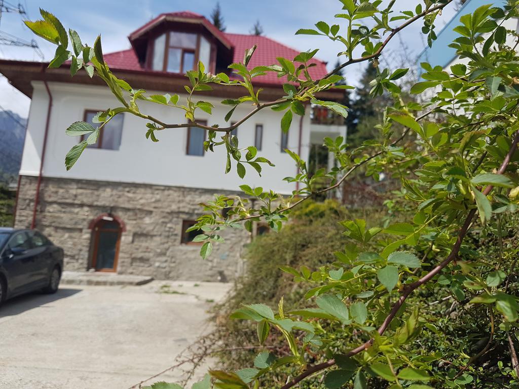 Casa Olguta Apartment Sinaia Ngoại thất bức ảnh