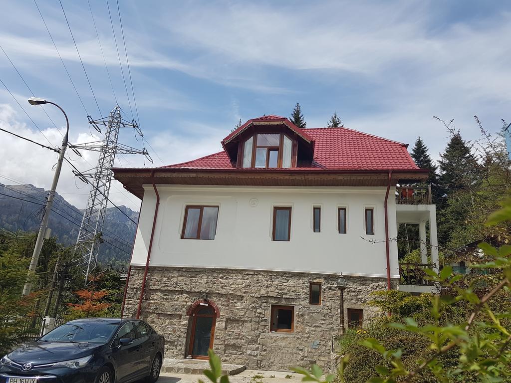 Casa Olguta Apartment Sinaia Ngoại thất bức ảnh