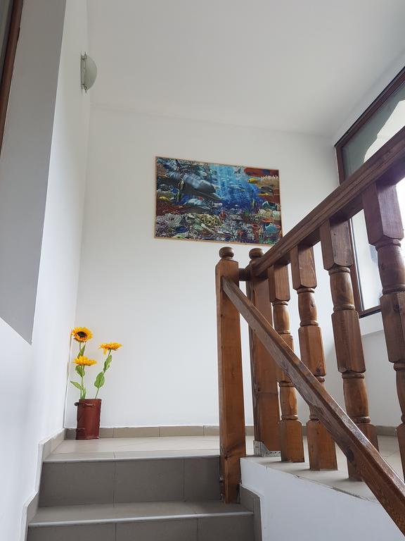 Casa Olguta Apartment Sinaia Ngoại thất bức ảnh